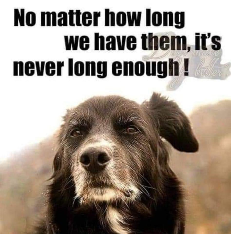 Rocking Granny tweet media