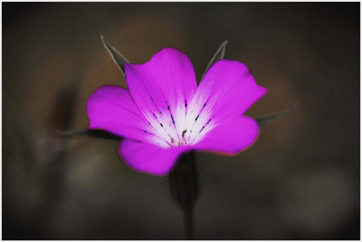 Catherine Duggan tweet media