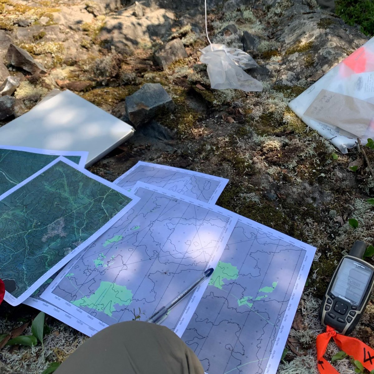 Some of the known characteristics of the McKinnon Zone are deformed tonalite &amp; amphibolite. Recently, #E2Gold ventured into the unexplored areas east of, and along strike of McKinnon -  and found sheared McKinnon-like altered rocks along the 2.5 km stretch east of McKinnon!