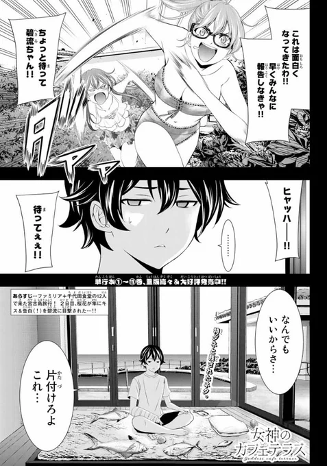 今日はマガジンの発売日、 そしてアニメ「女神のカフェテラス」 Blu-ray Vol.1の発売日です。  マンガとアニメ、どちらもよろしく お願いします!