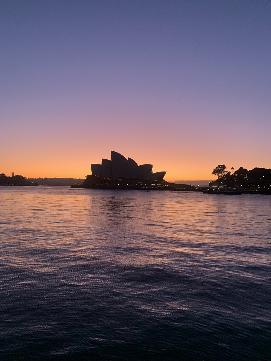 Kelly McGuire tweet media