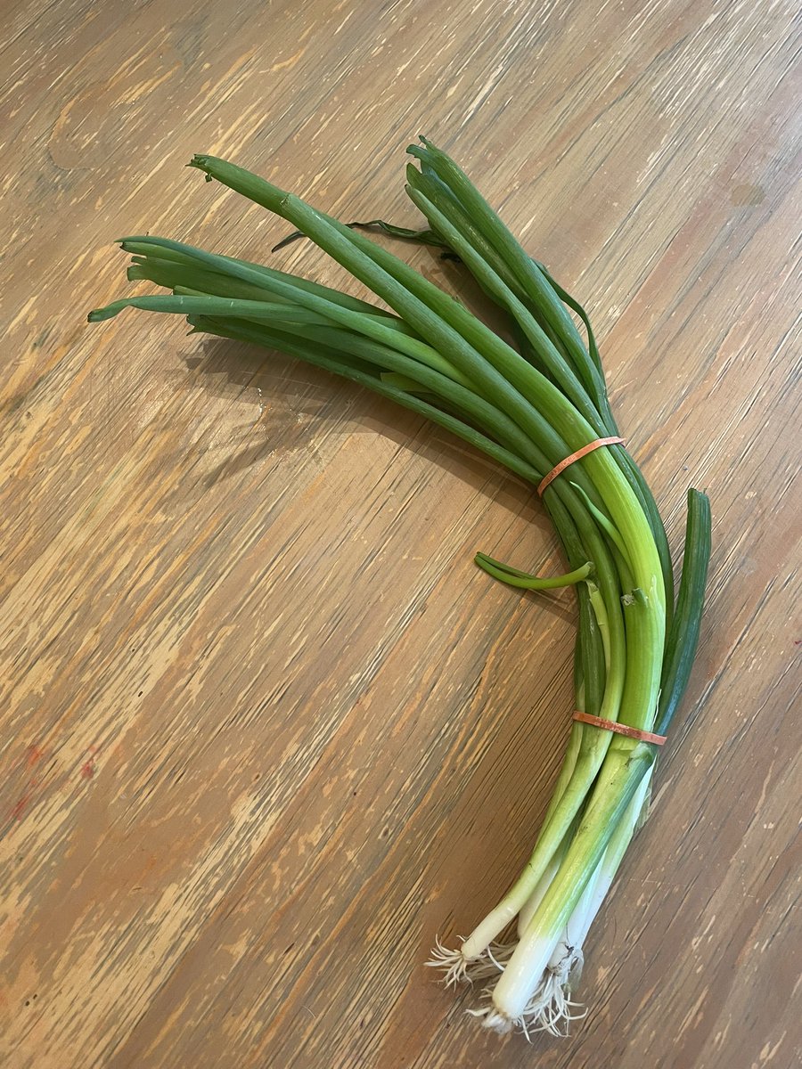 Kristen Mulrooney tweet media