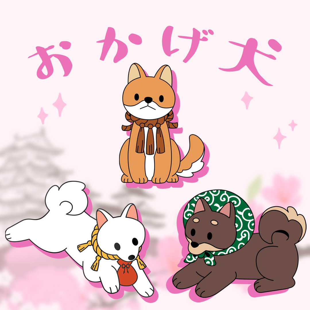 Meg ✨✨ tweet media