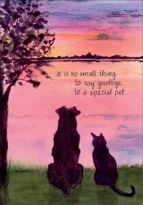 Rocking Granny tweet media