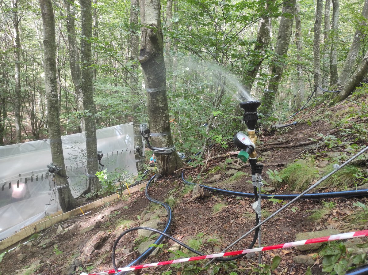 pennalp's tweet photo. A bit of excitement for the Last steps before the large #field #experiment of tomorrow in the Re della Pietra #catchment. #stemflow, #Rainfall, #surface, subsurface #runoff, geophysics, #isotopes. The team includes people from Argentina, Spain, Germany, Turkey, Greece, &amp; Italy. https://t.co/rhFV0wOBNC