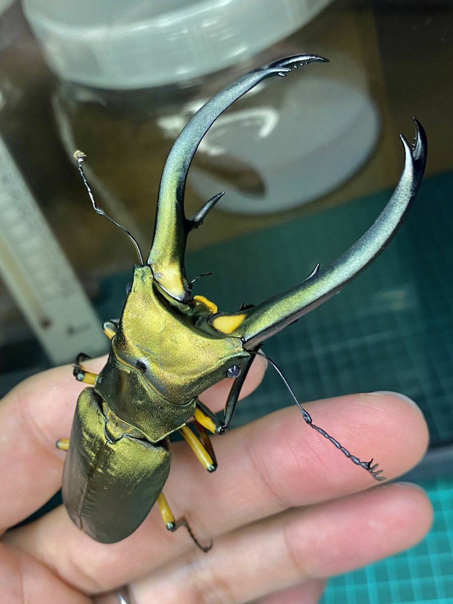 ⚠️引き取り限定⚠️ ヘラクレス　飼育　タッパ　園芸　その他　まとめ売り ヘラクレス・ヘラクレス飼育日記2007－1