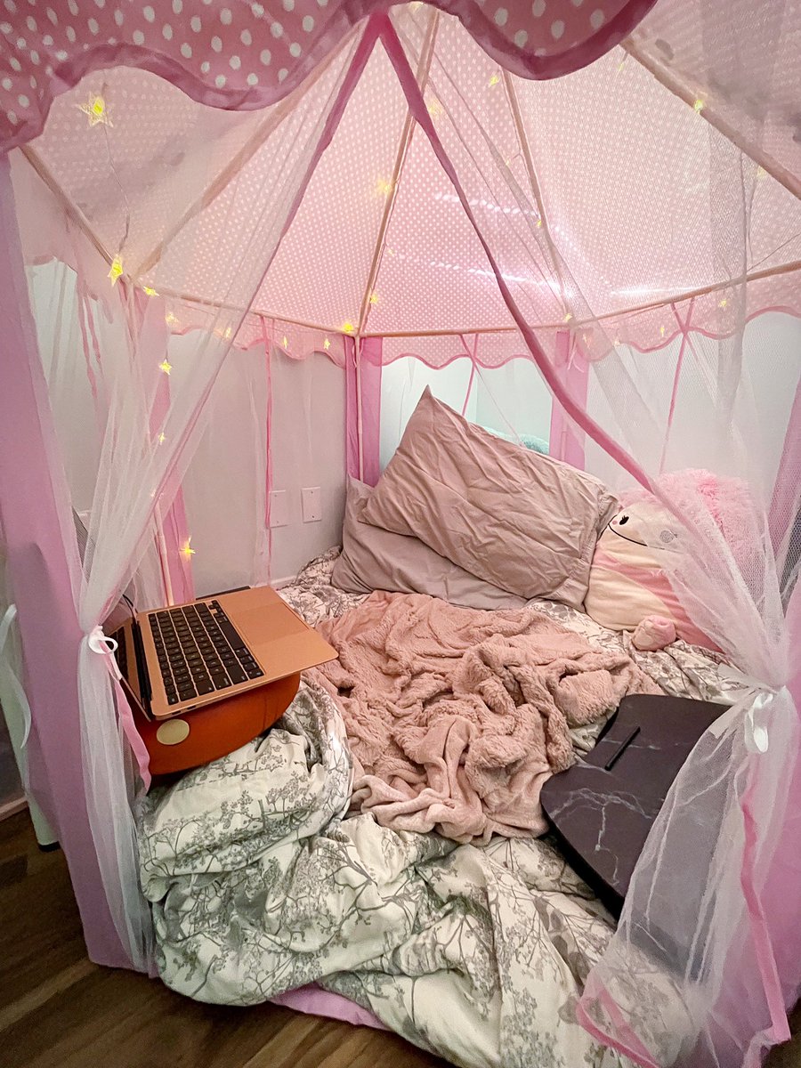 kierapom's tweet image. Giving myself the childhood I wish I had and I have NO REGRETS. Can’t wait to cozy up and play animal crossing in here 😤✨