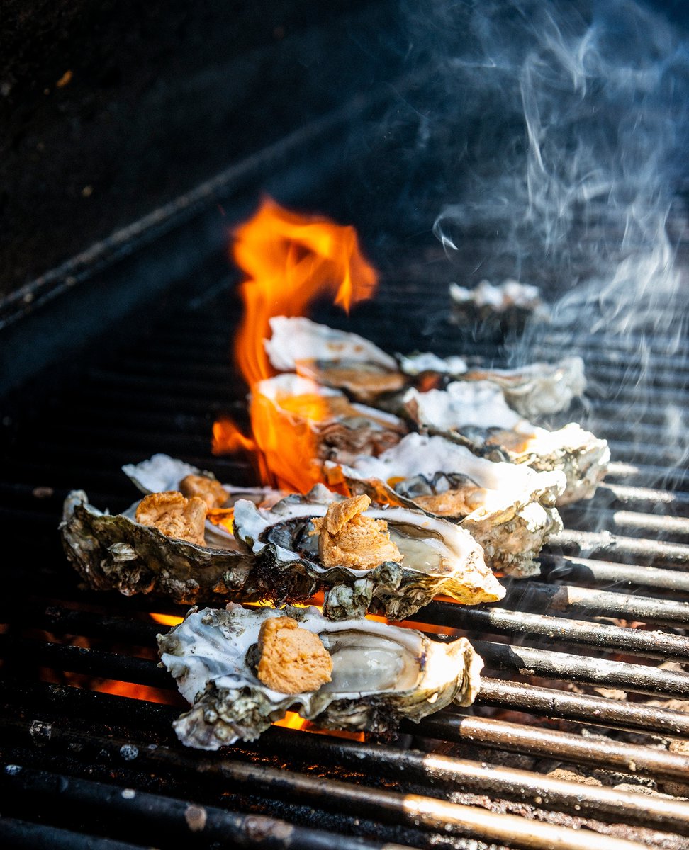 Hog Island Oyster Co tweet media