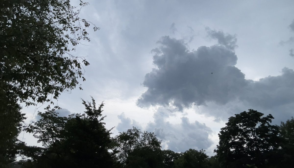 hurricaneville's tweet photo. Watch GWC Storm Footage - Gust Front Thunderstorm - July 25, 2023 at https://t.co/Av7L00P6LW via @YouTube. #njwx #severewx #shelfcloud #thunderstorm #gustfront @LensReality @nynjpaweather @epawawx @PASevereWxMedia @stormchaserray @ccace_wx @wxwxfan1 @RUMAN79 @NycStormChaser https://t.co/Od9ZSrN2sB