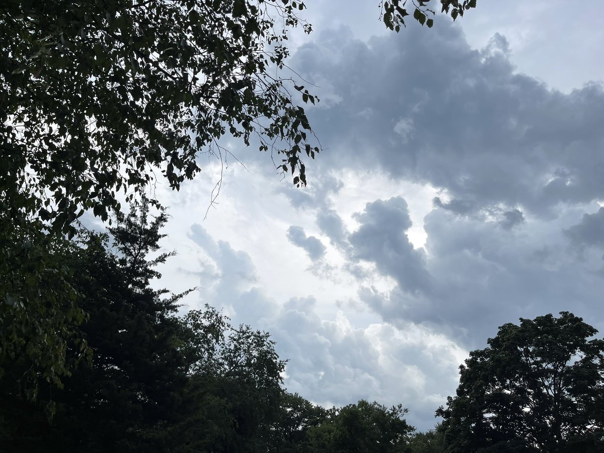 hurricaneville's tweet photo. Watch GWC Storm Footage - Gust Front Thunderstorm - July 25, 2023 at https://t.co/Av7L00P6LW via @YouTube. #njwx #severewx #shelfcloud #thunderstorm #gustfront @LensReality @nynjpaweather @epawawx @PASevereWxMedia @stormchaserray @ccace_wx @wxwxfan1 @RUMAN79 @NycStormChaser https://t.co/Od9ZSrN2sB