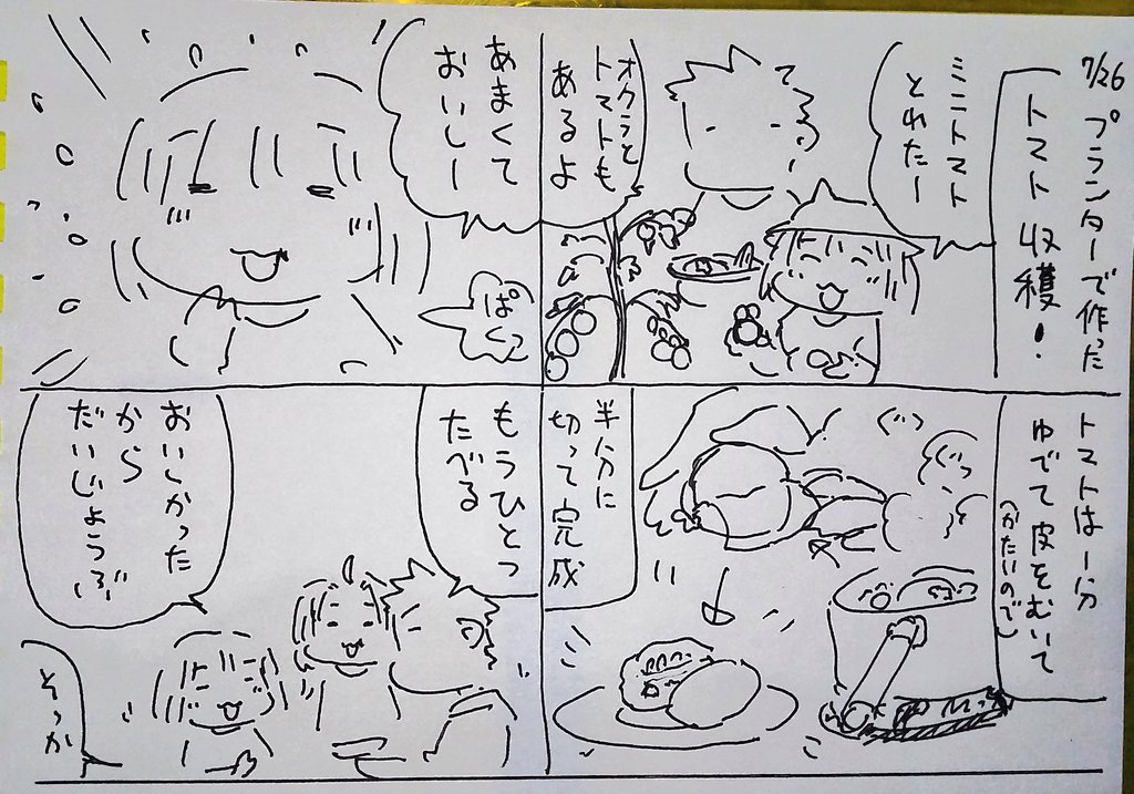 #本日のむすめさん 自分で収穫したトマトなので少し食べられました!まだ酸味が少し苦手みたいですが美味しく食べられたなら少しでもヨシ!