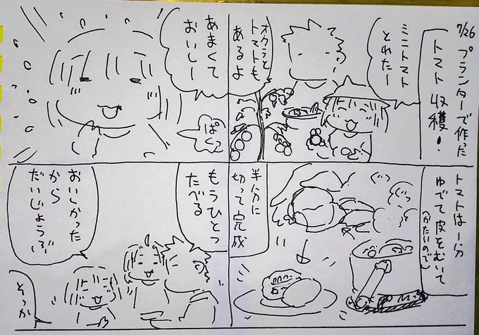 #本日のむすめさん 自分で収穫したトマトなので少し食べられました!まだ酸味が少し苦手みたいですが美味しく食べられたなら少しでもヨシ!