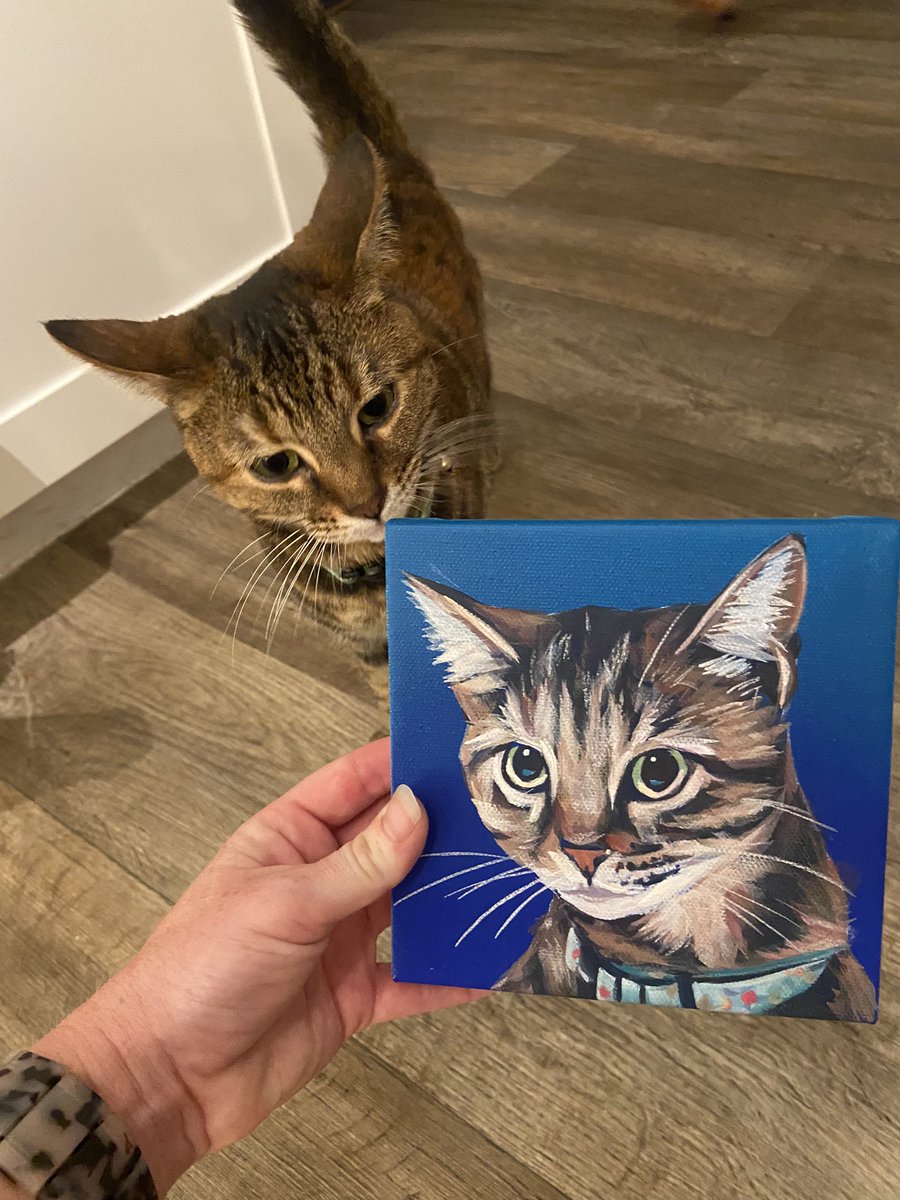 kayteeaa's tweet photo. I’m crying 😭😭 Thank you so much @Chewy it’s so beautiful, we love it so so much #chewy #bestcustomerserviceever https://t.co/H4UqYI0rVM