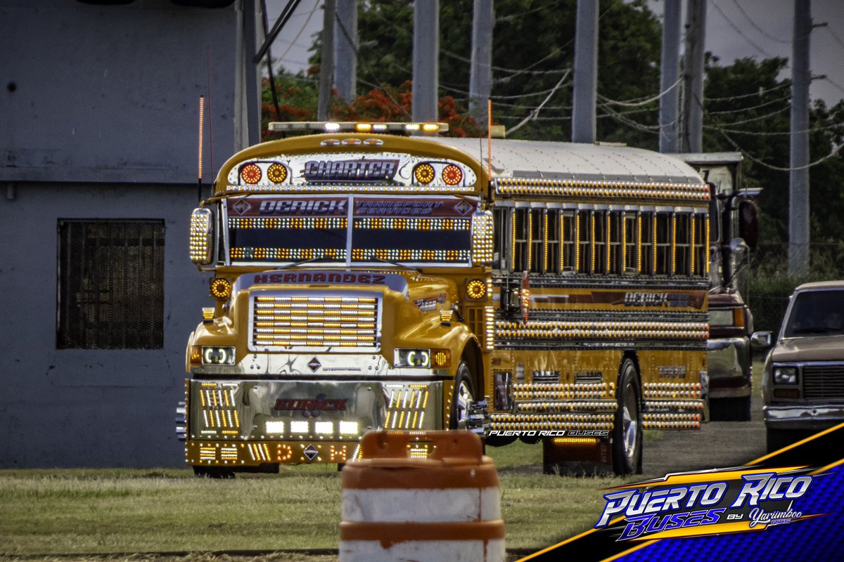 puertoricobuses's tweet photo. #INTERNATIONAL 3800B CHARTER BUS🔝| Optimus Diesel Show 2K23 #SummerEdition 🇵🇷📷🔥🔥
▪️
▪️
▪️
▪️
#puertoricobuses #teampuertoricobuses #trucknation #truckshow #schoolbus #charterbus #partybus #schoolbusdrivers #bus #buses #busdrivers #busshow #autobus #autobuses #chrome https://t.co/5BFMkMPruM