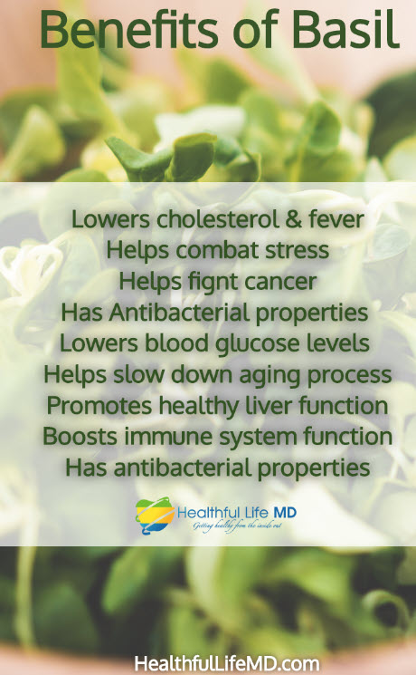 Health Tip Tuesday 
Did you know that Basil had so many health benefits? Just look at all the amazing things this herb can do for you. Enjoy! 😊 
#healthyfood #herbs #healthtiptuesday #basil
