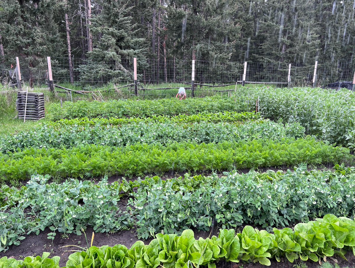 The Thankful Outdoorsman tweet media