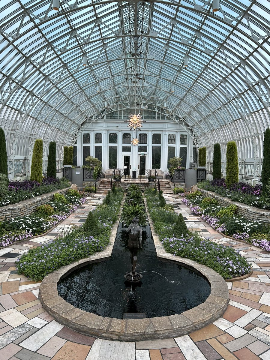 Como Zoo tweet media