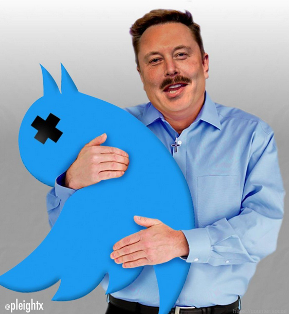 thewalrus93's tweet photo. @elonmusk https://t.co/WVDBaWJEy4