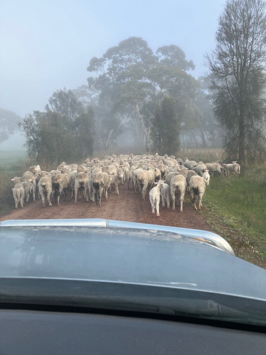 Sam Shields tweet media