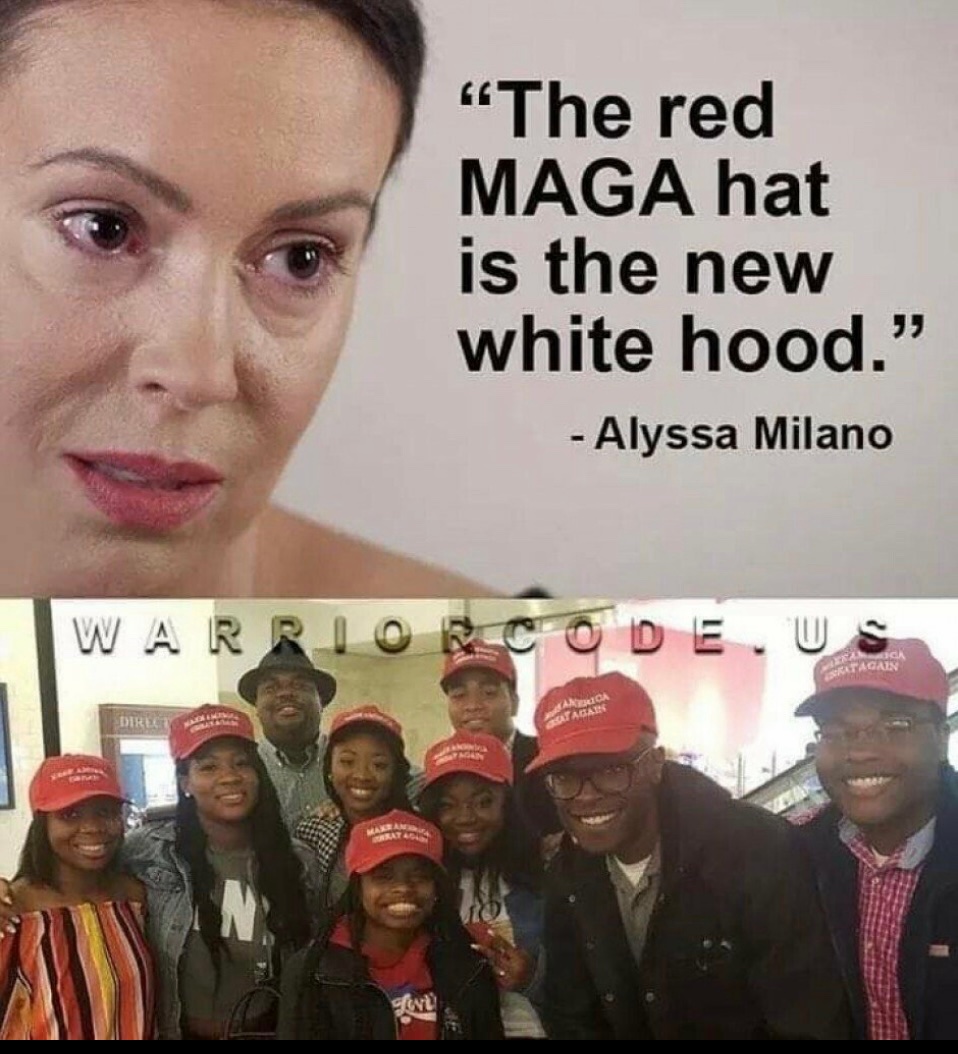 RT @CarlosBAlonso2: @Alyssa_Milano The Dems wore the Hoods! https://t.co/fF1nmXmDMQ