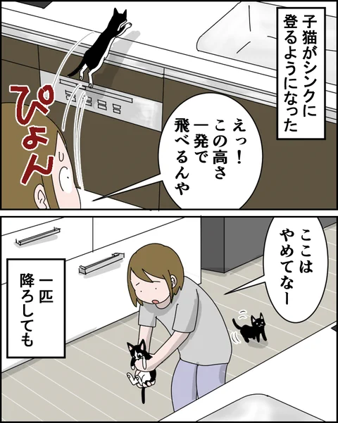 第35話【猫飼い1年生】

シンクに侵入する猫対策

#漫画が読めるハッシュタグ #猫 #コミックエッセイ 