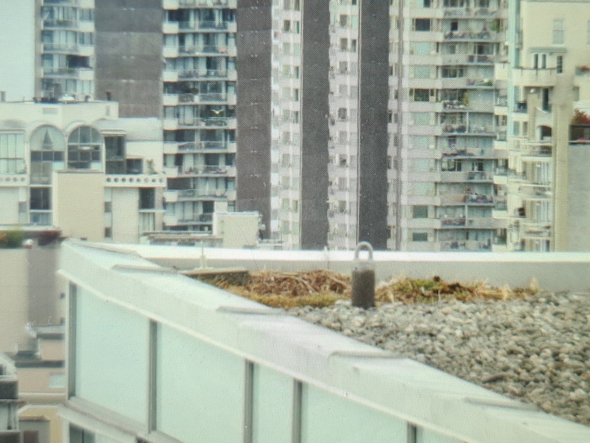 Vincent Malisz tweet media