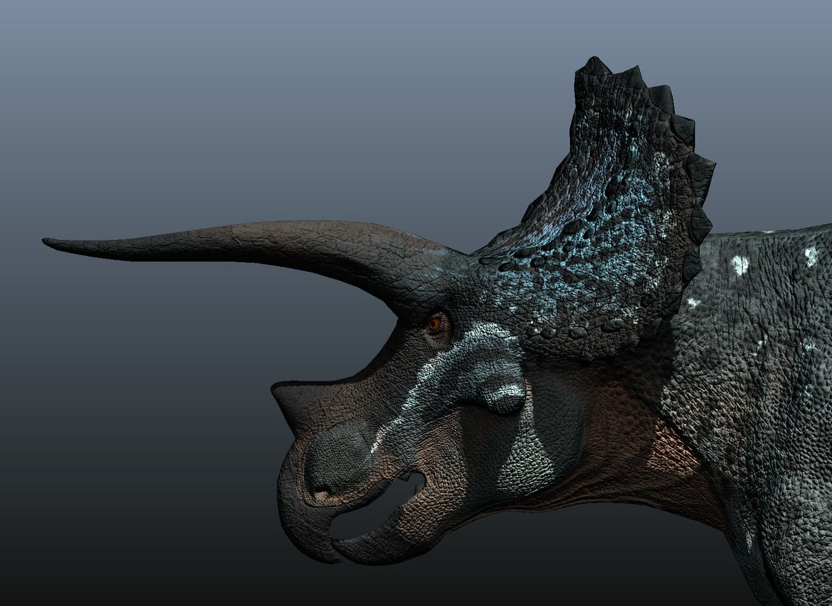 Pangea Survival Game tweet media