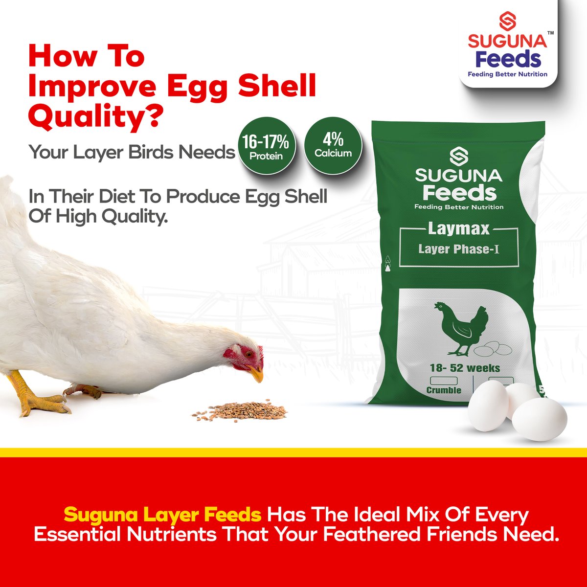 Suguna_Foods's tweet photo. All the dietary requirements that your Layer birds need, in one place.
Get Suguna Layer Feeds today!
#SugunaFoods #SugunaChicken #SugunaFeeds #LayerFeeds #Proteins #Calcium #EggShells #LayerStarterCrumble #LayerGrowerCrumble #LayerMash #LayerGrowerConcentrate #LayerConcentrate https://t.co/KRrB0ObbHh