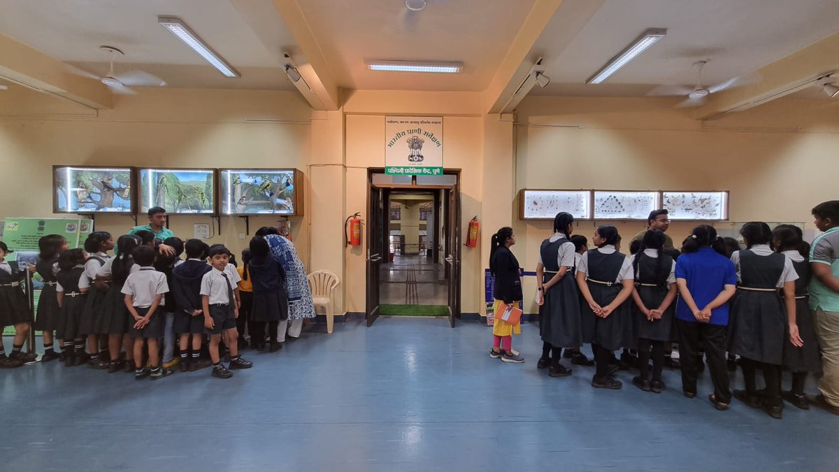 zsiwrcpune's tweet photo. Curious students and teachers of Creative Public School, Pune visited @zsiwrcpune museum on the 6th, 7th & 13th of July 2023 as a part of their curriculum.
#extensionprogramme
#museumvisit https://t.co/vT7U5oqXxi