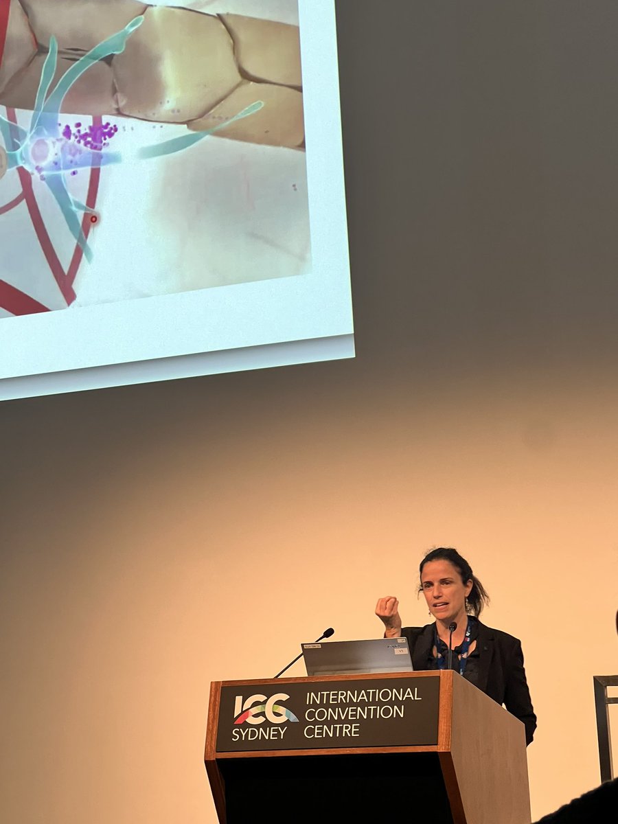 Paul Sajda (@bmechaircu) on Twitter photo <a href="/ColumbiaBME/">Columbia BME</a> Faculty at #EMBC2023 in Sydney, Australia. Paul Sajda <a href="/IEEEembs/">IEEE Engineering Medicine and Biology Society</a> <a href="/BMEChairCU/">Paul Sajda</a> President opens the conference ceremonies. Kam Leong <a href="/theleonglab/">The Leong Lab</a> given the Academic Career Acheivement Award. Elisa Konofagou <a href="/ColumbiaUEIL/">Konofagou Lab at Columbia University</a> giving a keynote. Gโday from downunder. <a href="/CUSEAS/">Columbia Engineering</a> <a href="/ColumbiaBME/">Columbia BME</a> Faculty at #EMBC2023 in Sydney, Australia. Paul Sajda <a href="/IEEEembs/">IEEE Engineering Medicine and Biology Society</a> <a href="/BMEChairCU/">Paul Sajda</a> President opens the conference ceremonies. Kam Leong <a href="/theleonglab/">The Leong Lab</a> given the Academic Career Acheivement Award. Elisa Konofagou <a href="/ColumbiaUEIL/">Konofagou Lab at Columbia University</a> giving a keynote. Gโday from downunder. <a href="/CUSEAS/">Columbia Engineering</a>