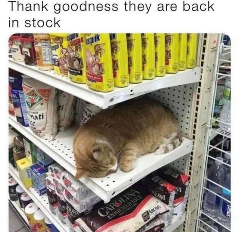 WholesomeMemes tweet media