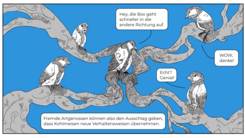 Michael Chimento (@evogom) on Twitter photo wish i could publish all of my studies in comic form, with deutschsprachige meisen no less! excited to see artist V. Gössler's interpretation of my 2021 🐦 experiment with <a href="/AlarconNietoG/">GustavoAlarcón-Nieto</a> and <a href="/LucyMAplin/">Lucy Aplin</a> featured in <a href="/UniKonstanz/">Universität Konstanz</a> 's uni'kon magazine (p 48) uni-konstanz.de/broschueren/un… wish i could publish all of my studies in comic form, with deutschsprachige meisen no less! excited to see artist V. Gössler's interpretation of my 2021 🐦 experiment with <a href="/AlarconNietoG/">GustavoAlarcón-Nieto</a> and <a href="/LucyMAplin/">Lucy Aplin</a> featured in <a href="/UniKonstanz/">Universität Konstanz</a> 's uni'kon magazine (p 48) uni-konstanz.de/broschueren/un…
