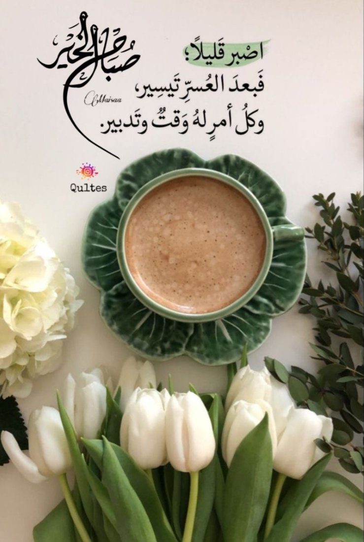 HossaZa's tweet photo. https://t.co/PXAx7Q9nA1