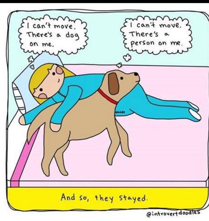 WholesomeMeme's tweet photo. Art by Introvertdoodle @introvertdoodle https://t.co/7HqO0EbPTZ