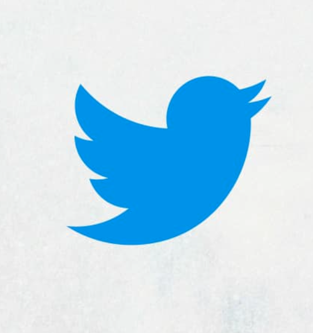 SamMalcolm1414's tweet photo. People keep posting logo designs that bridge the bird and the X. But the perfect logo for this platform exists and it looks like this: https://t.co/5NN95z4DsA