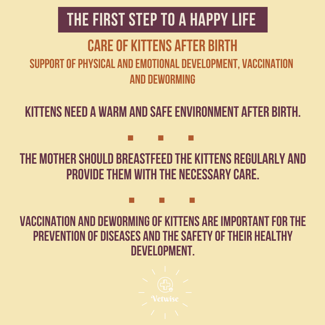 The first step to a happy life!

Care of kittens after birth:
support of physical and emotional development, vaccination and deworming.

#kittens #animal #veterinary #vetwise #education