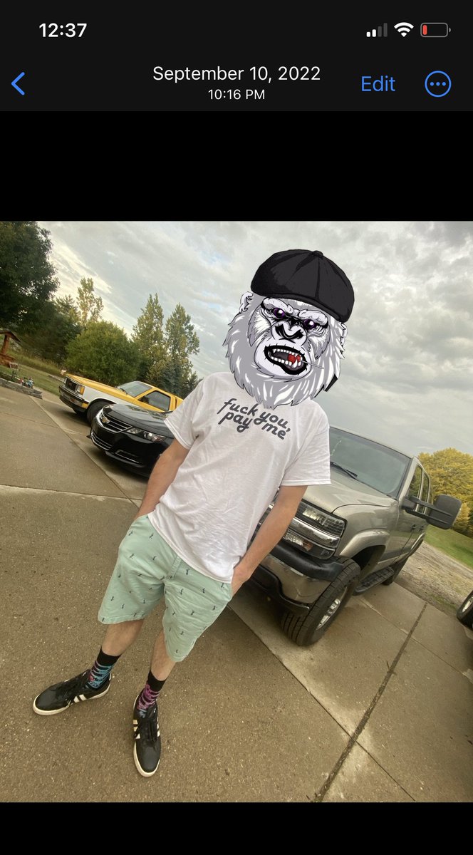 46.2🪬 tweet media