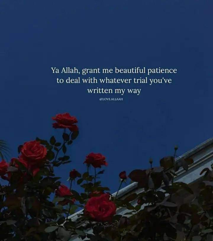 _farjanamim_'s tweet photo. Ya Allāh [ ﷻ ], Grant Me ẞeautiful Patience To Deal With Whatever Trail You've Written My Way 💫💜" https://t.co/bnqcQsIEc2