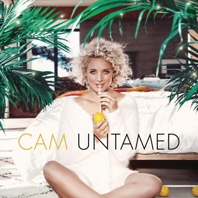 Now Playing: Burning House by <a href="/camcountry/">Cam</a> is on Q106.8 Country | WQKT-DB q1068country.com #NowPlayingOnQCountry