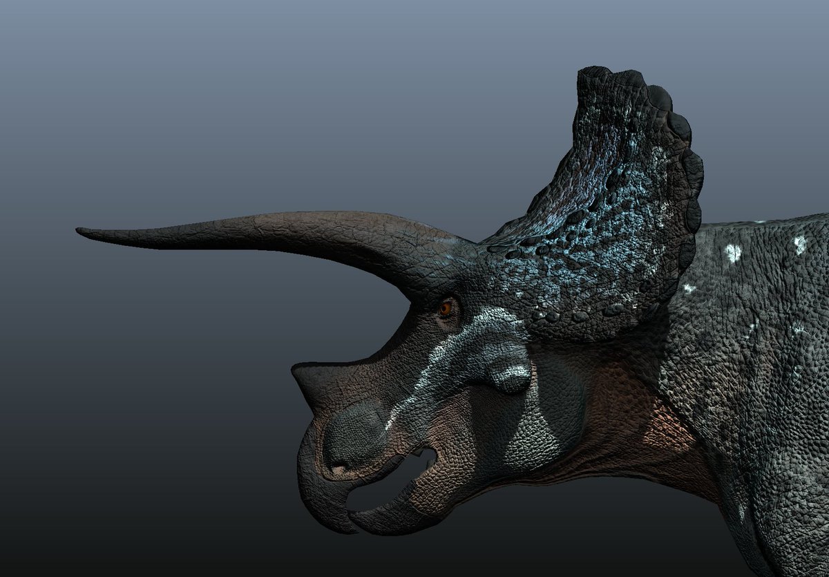 Pangea Survival Game tweet media