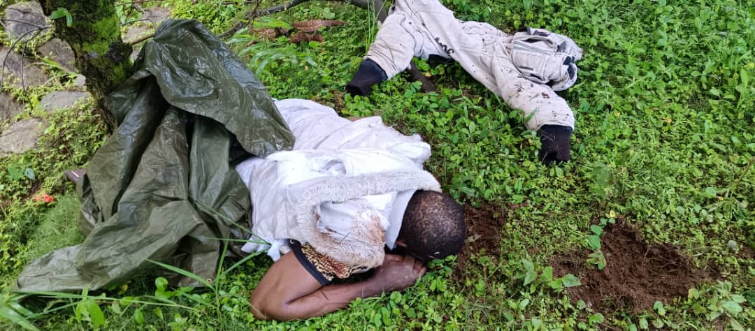 SouthernScaf's tweet photo. This inhumane treatment is not only the past, it is very much what Ambazonians are experiencing right now in 2023. The difference is that fellow Africans are being tortured by their own brothers https://t.co/hMgivLN2pE