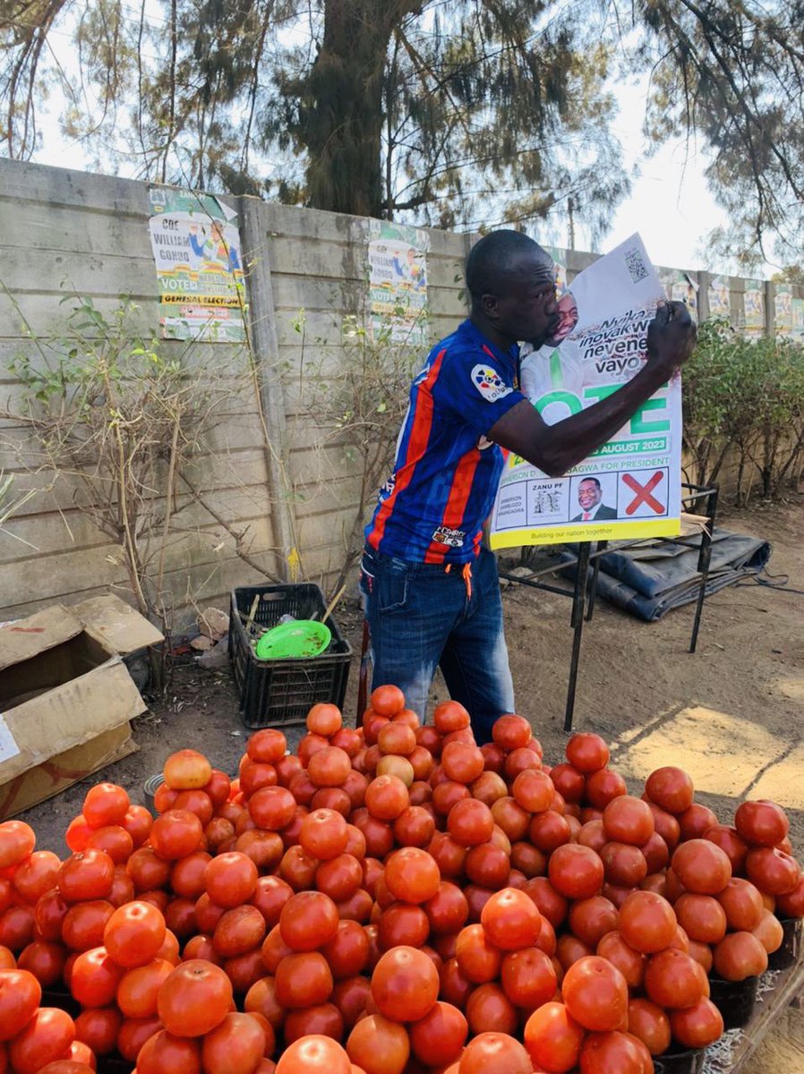 Cde Chibage TINO tweet media