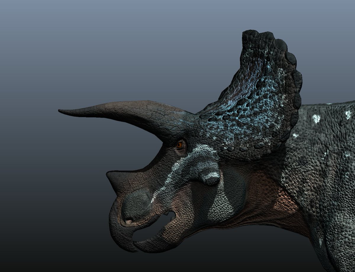 Pangea Survival Game tweet media