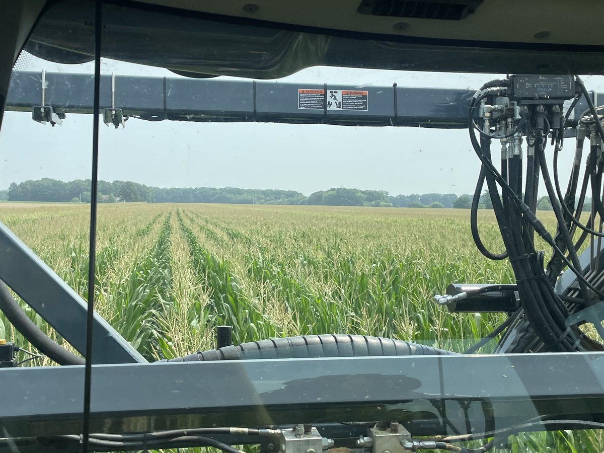 JustinSchneid18's tweet photo. Applying fungicide in Central MI ⁦@LGSeeds⁩ 51C62 looking spectacular once again! https://t.co/BSoJlRLdpf