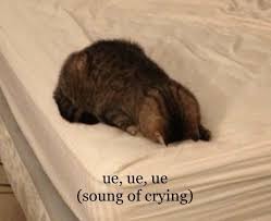 pseudosolace's tweet photo. @verydigestible WHEN WILL IT BE MY TURN https://t.co/UCEzTwOimX