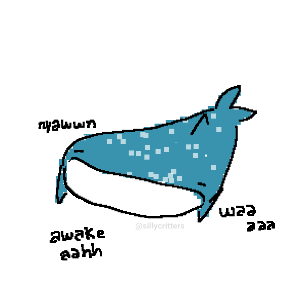whale shart