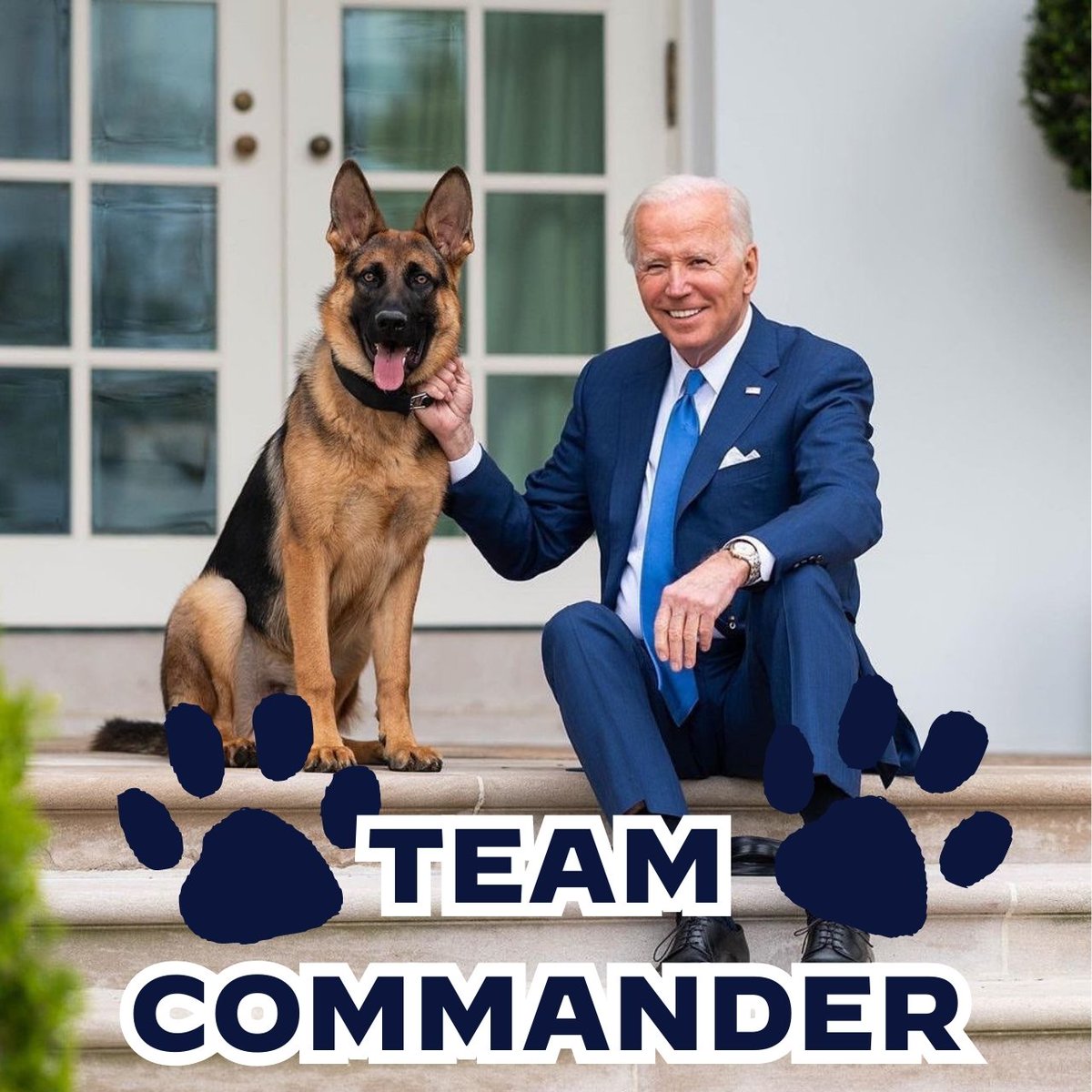Yeah, I don't know about you guys, but I am on #TeamCommander. 🐶