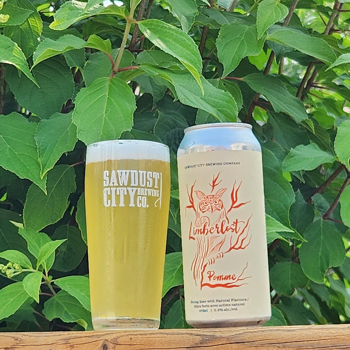 A big thank you to <a href="/__Paul__G__/">Paul G.</a> for today's Patio Pints with Polk!
<a href="/sawdustcitybeer/">Sawdust City Brewing Co.</a> &amp; <a href="/WestAvenueCider/">West Avenue Cider</a> Limberlost Pomme pouring now : youtu.be/NcWmqJZwhx4?si…