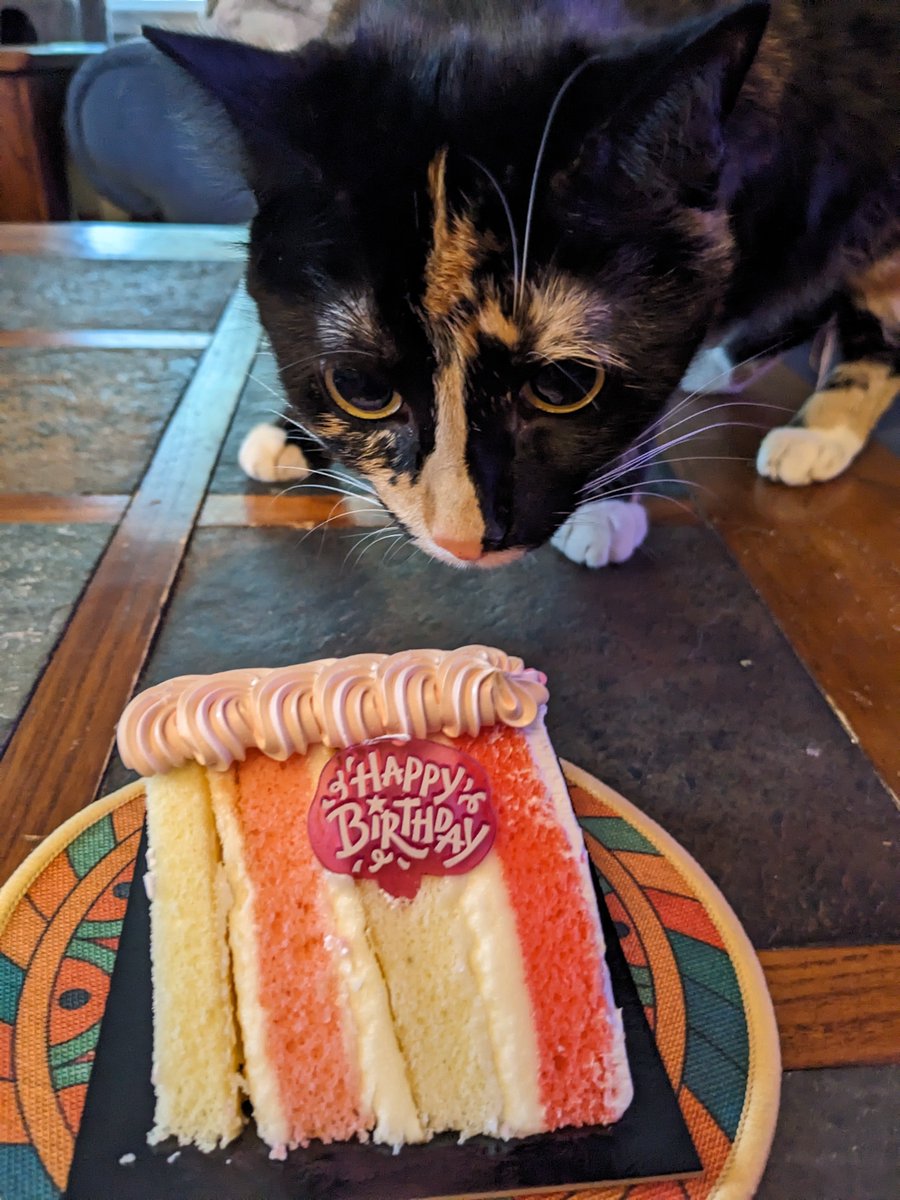 OneEyedIzabella's tweet image. Happy (belated! it was yesterday and we didn't realize!) 2nd birthday Astrid!!!!!
Eat your cake!! It's normal! You love sliced bread!