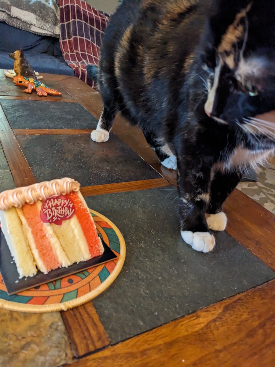 OneEyedIzabella's tweet image. Happy (belated! it was yesterday and we didn't realize!) 2nd birthday Astrid!!!!!
Eat your cake!! It's normal! You love sliced bread!